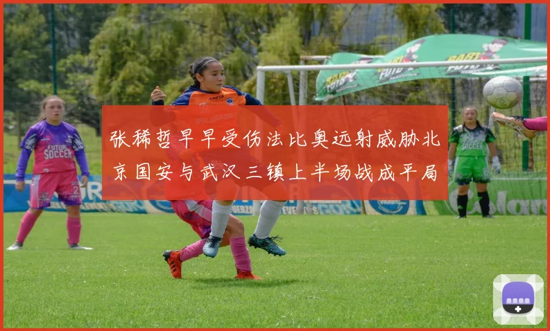 张稀哲早早受伤法比奥远射威胁北京国安与武汉三镇上半场战成平局
