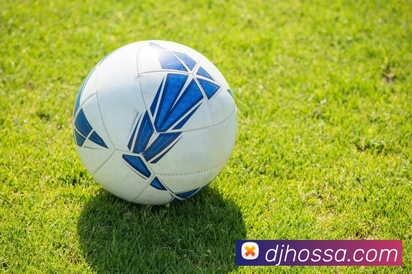 奖项证书